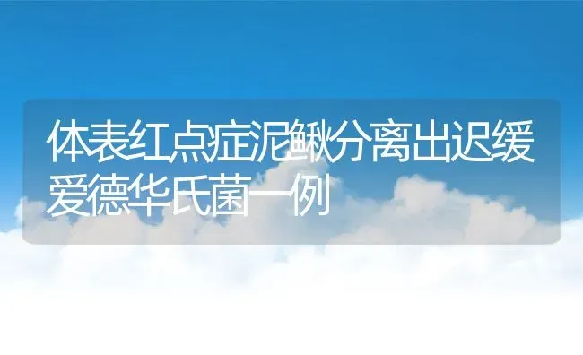 池塘怎样养殖田螺 | 动物养殖百科