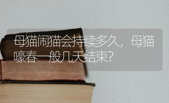 母猫闹猫会持续多久，母猫嚎春一般几天结束？ | 动物养殖问答