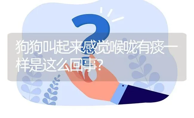 狗狗叫起来感觉喉咙有痰一样是这么回事？ | 动物养殖问答