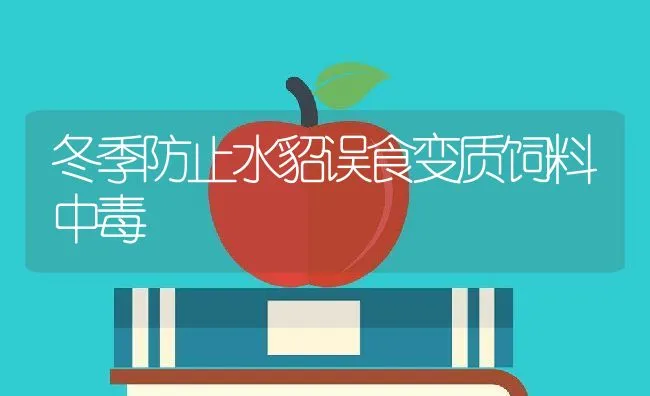 冬季防止水貂误食变质饲料中毒 | 动物养殖学堂