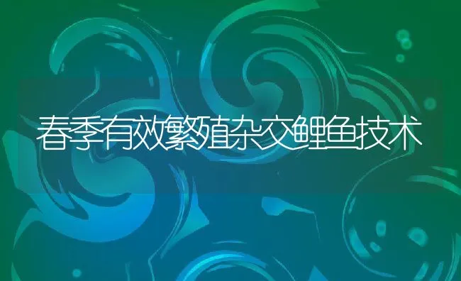 连江近海养殖采用新技术　搭塑胶渔排筑消波系统 | 海水养殖技术