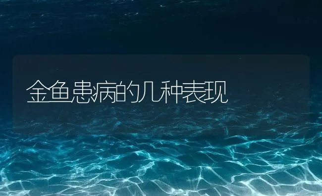 金鱼患病的几种表现 | 海水养殖技术