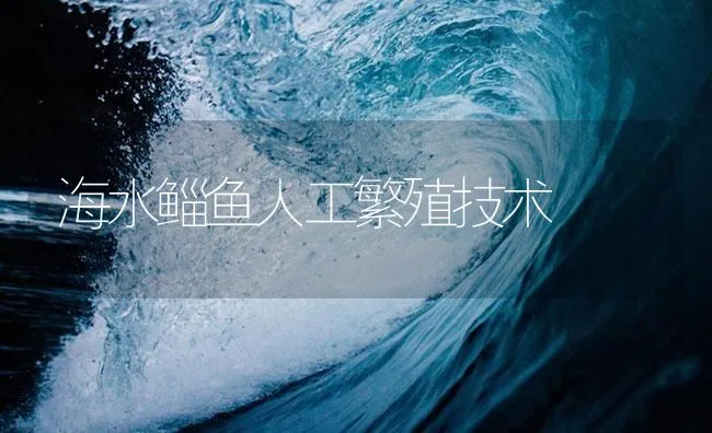 海水鲻鱼人工繁殖技术 | 海水养殖技术