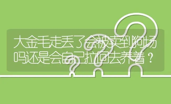 大金毛走丢了会被卖到狗场吗还是会自己拉回去养着？ | 动物养殖问答