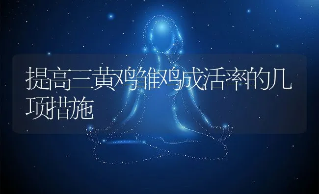 提高三黄鸡雏鸡成活率的几项措施 | 动物养殖学堂