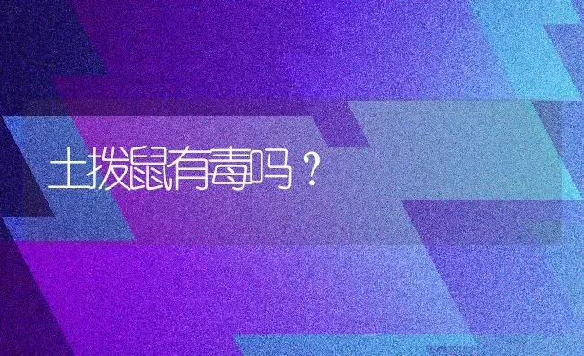 土拨鼠有毒吗？ | 动物养殖问答