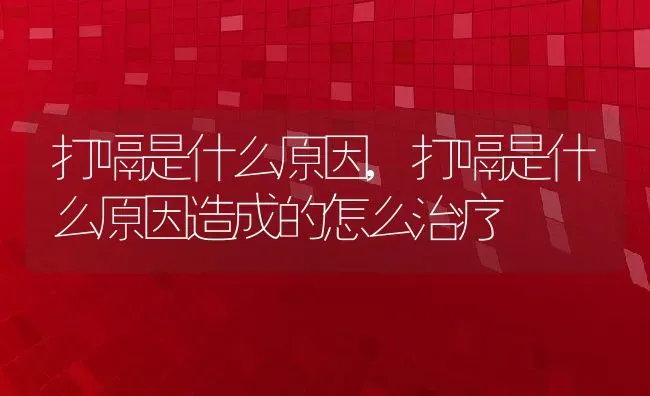 打嗝是什么原因,打嗝是什么原因造成的怎么治疗 | 宠物百科知识