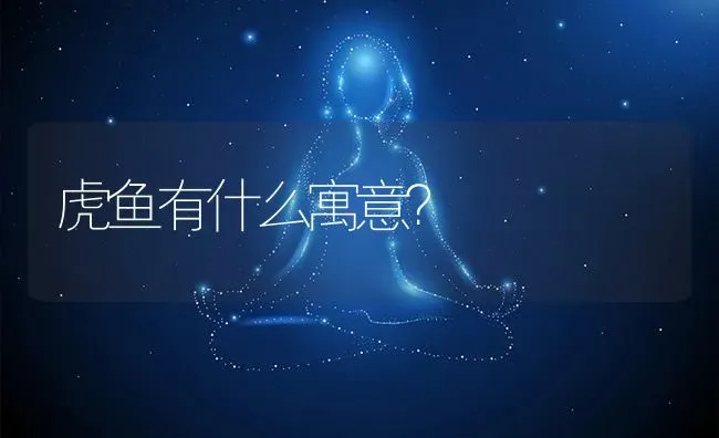 虎鱼有什么寓意？ | 鱼类宠物饲养