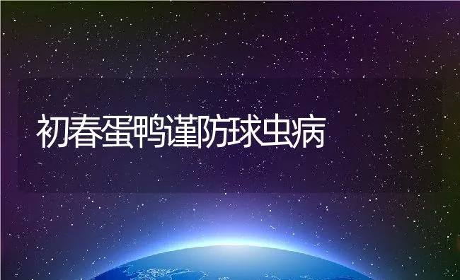 初春蛋鸭谨防球虫病 | 动物养殖饲料