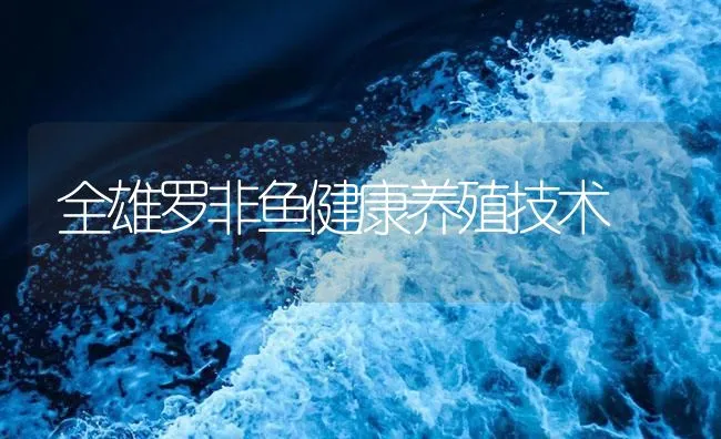 全雄罗非鱼健康养殖技术 | 海水养殖技术