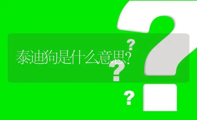 泰迪狗是什么意思？ | 动物养殖问答