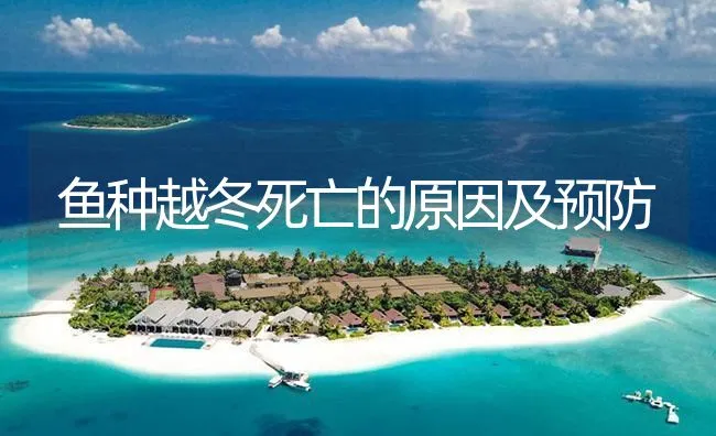 电击活鱼可延长运输时间 | 海水养殖技术