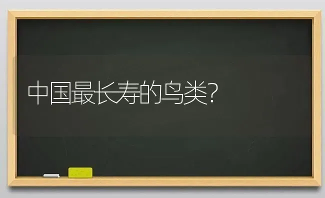 中国最长寿的鸟类？ | 动物养殖问答