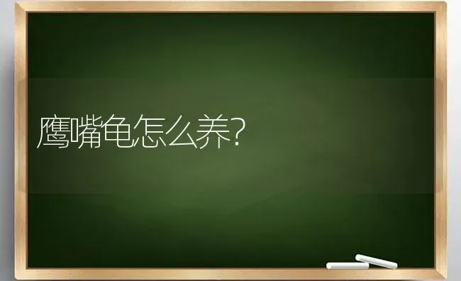 鹰嘴龟怎么养？ | 动物养殖问答