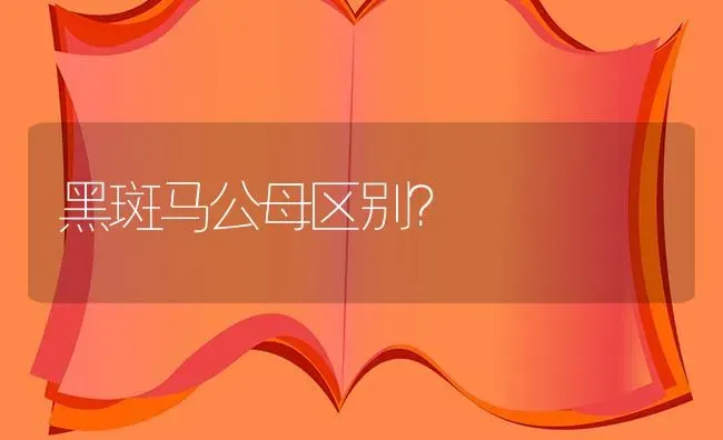 黑斑马公母区别？ | 鱼类宠物饲养