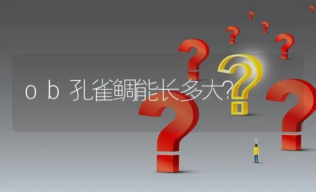 ob孔雀鲷能长多大？ | 鱼类宠物饲养