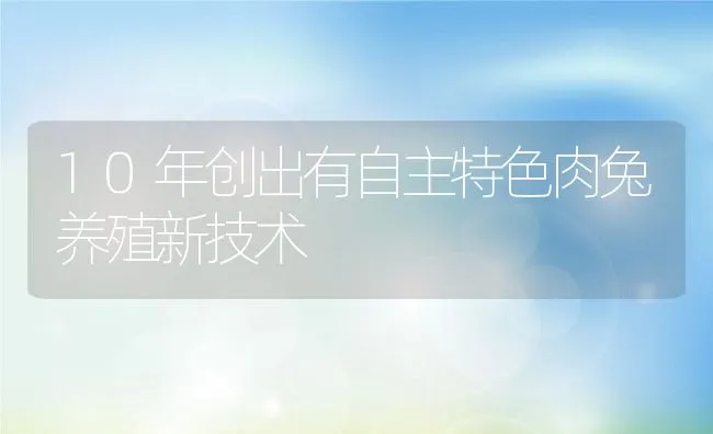 10年创出有自主特色肉兔养殖新技术 | 动物养殖学堂