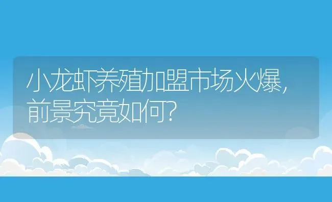 小龙虾养殖加盟市场火爆，前景究竟如何？ | 动物养殖百科