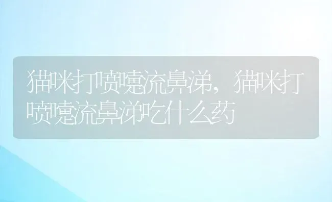 猫咪打喷嚏流鼻涕,猫咪打喷嚏流鼻涕吃什么药 | 宠物百科知识