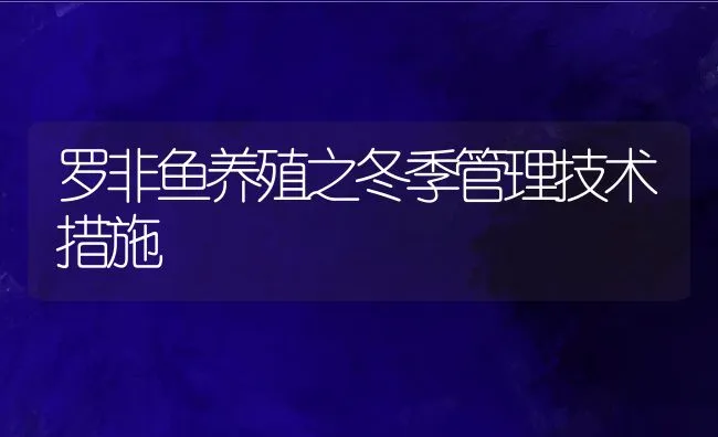 罗非鱼养殖之冬季管理技术措施 | 动物养殖饲料