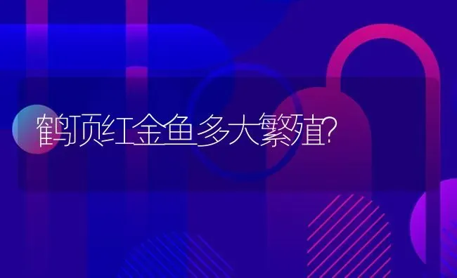 鹤顶红金鱼多大繁殖？ | 鱼类宠物饲养