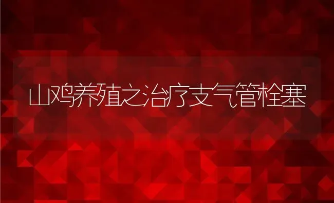 山鸡养殖之治疗支气管栓塞 | 特种养殖技术