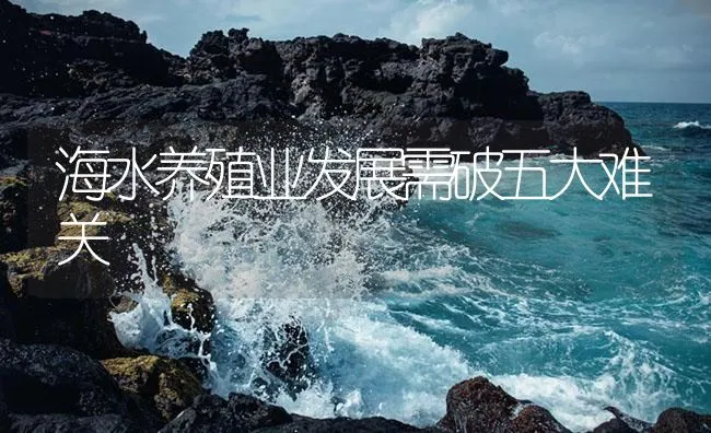 海水养殖业发展需破五大难关 | 海水养殖技术