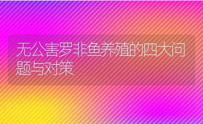 无公害罗非鱼养殖的四大问题与对策 | 动物养殖饲料