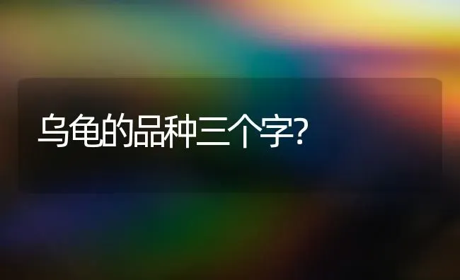 乌龟的品种三个字？ | 动物养殖问答