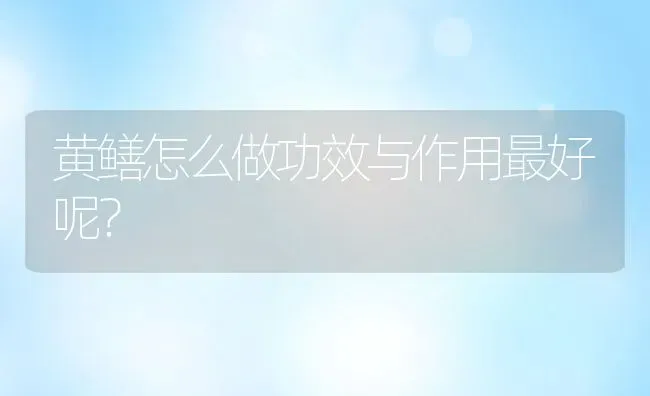 黄鳝怎么做功效与作用最好呢？ | 动物养殖百科