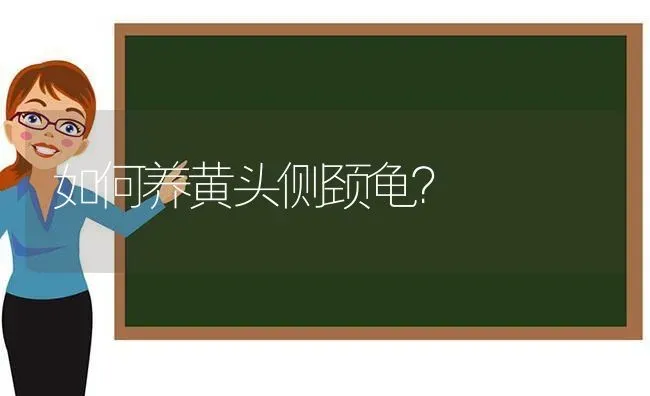 如何养黄头侧颈龟？ | 动物养殖问答