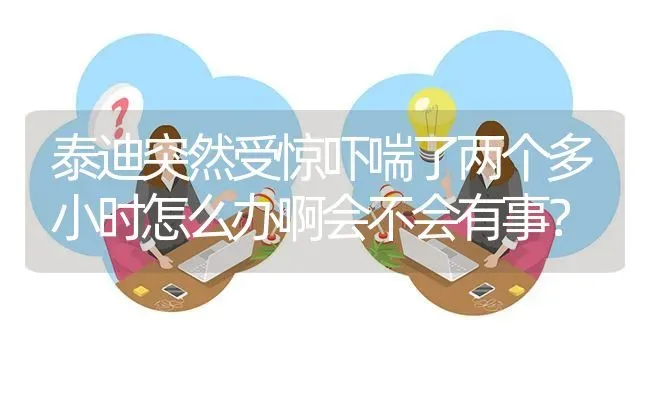 泰迪突然受惊吓喘了两个多小时怎么办啊会不会有事？ | 动物养殖问答