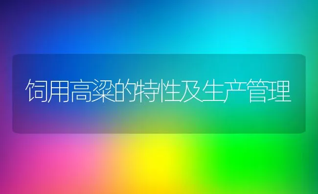 饲用高粱的特性及生产管理 | 动物养殖学堂