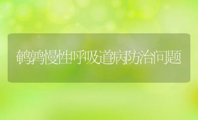 鹌鹑慢性呼吸道病防治问题 | 水产养殖知识