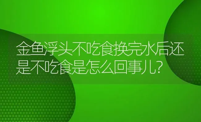 金鱼浮头不吃食换完水后还是不吃食是怎么回事儿？ | 鱼类宠物饲养