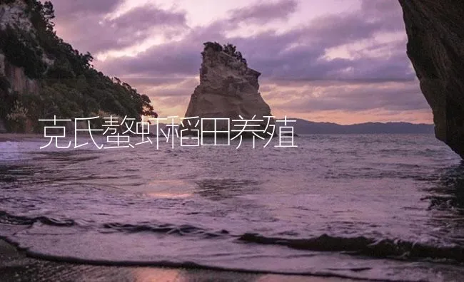 鳗鱼有机磷中毒防治技术 | 海水养殖技术