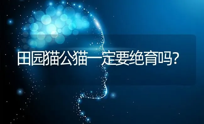 一个月的小博美老是咬人正常吗？ | 动物养殖问答