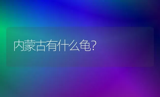 内蒙古有什么龟？ | 动物养殖问答