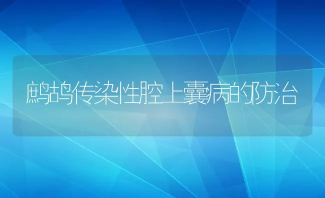 鹧鸪传染性腔上囊病的防治 | 水产养殖知识