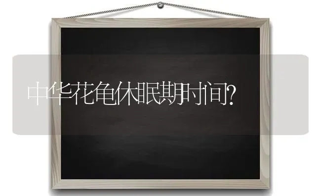 中华花龟休眠期时间？ | 动物养殖问答