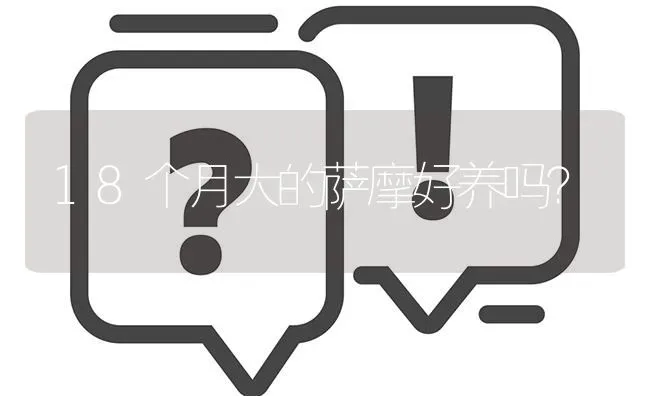 18个月大的萨摩好养吗？ | 动物养殖问答