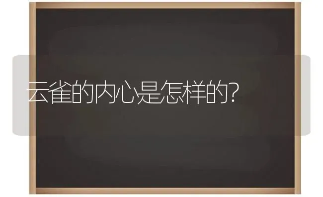 云雀的内心是怎样的？ | 动物养殖问答