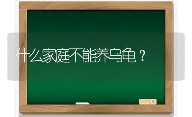 什么家庭不能养乌龟？ | 动物养殖问答