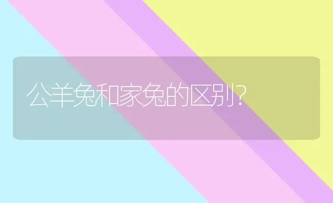 公羊兔和家兔的区别？ | 动物养殖问答