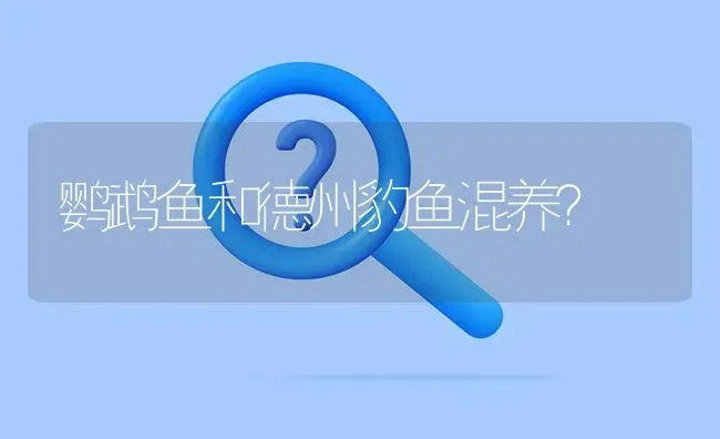 鹦鹉鱼和德州豹鱼混养？ | 鱼类宠物饲养