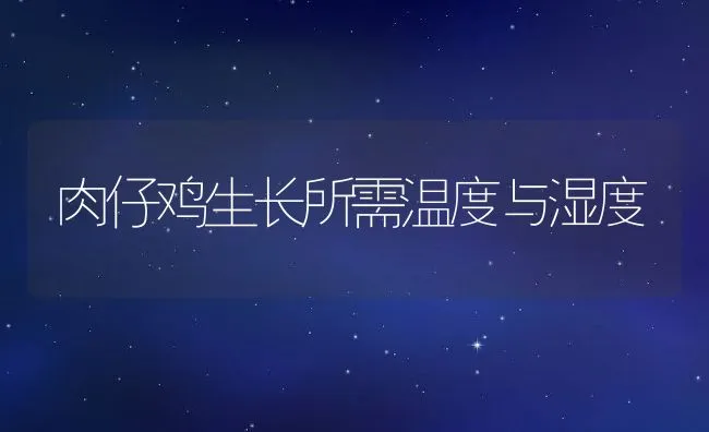 优质长毛兔嵊州长毛兔 | 动物养殖学堂