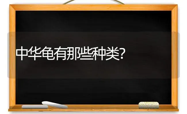 中华龟有那些种类？ | 动物养殖问答