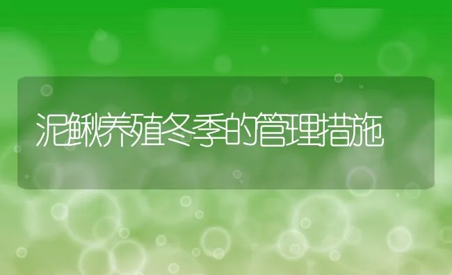 泥鳅养殖冬季的管理措施 | 水产养殖知识