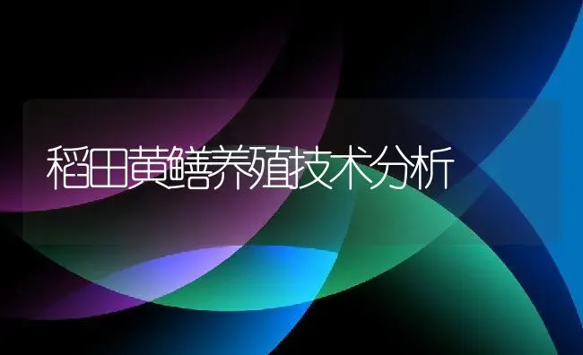 稻田黄鳝养殖技术分析 | 动物养殖百科