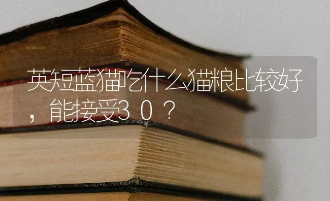 英短蓝猫吃什么猫粮比较好，能接受30？ | 动物养殖问答